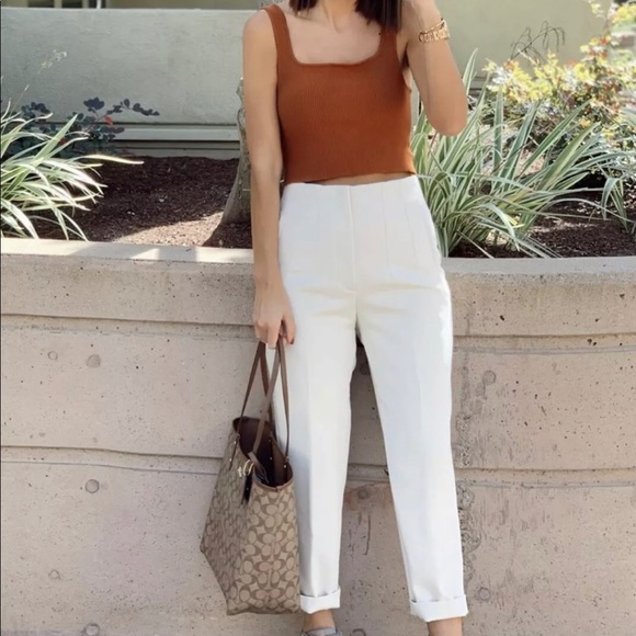 Zara | Pants & Jumpsuits | Zara Oyster White Highwaisted Trousers Darts Nwt | Poshmark